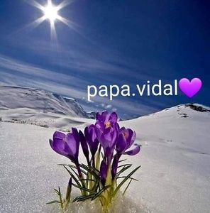 Meet your Posher, Evodia